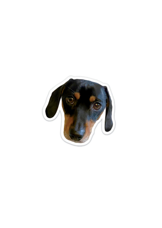 Personalised Pet Face - Confetti - Pack of 50